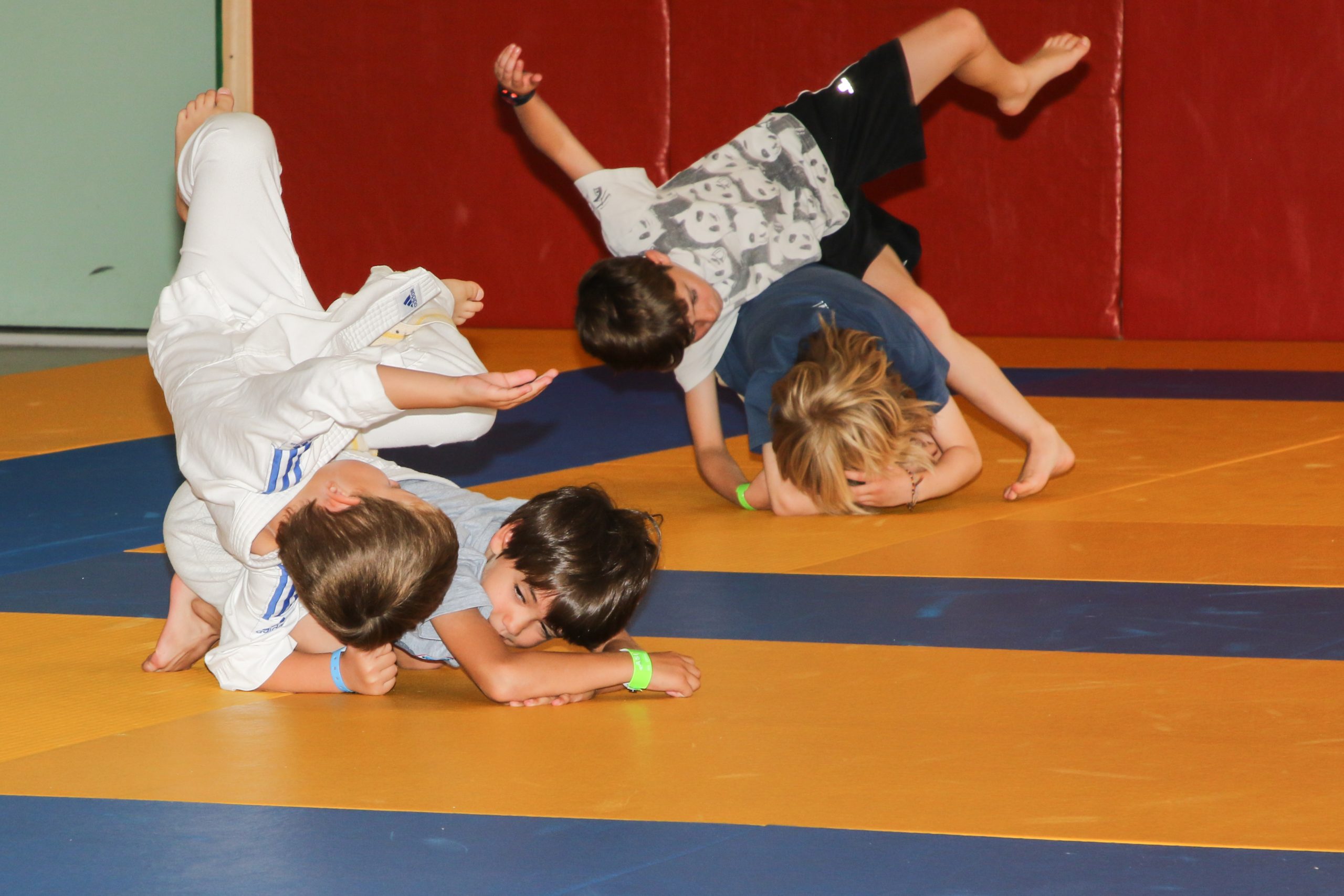 Sports d'opposition apm 6-8 S07